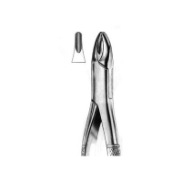  Extracting Forceps American Pattern